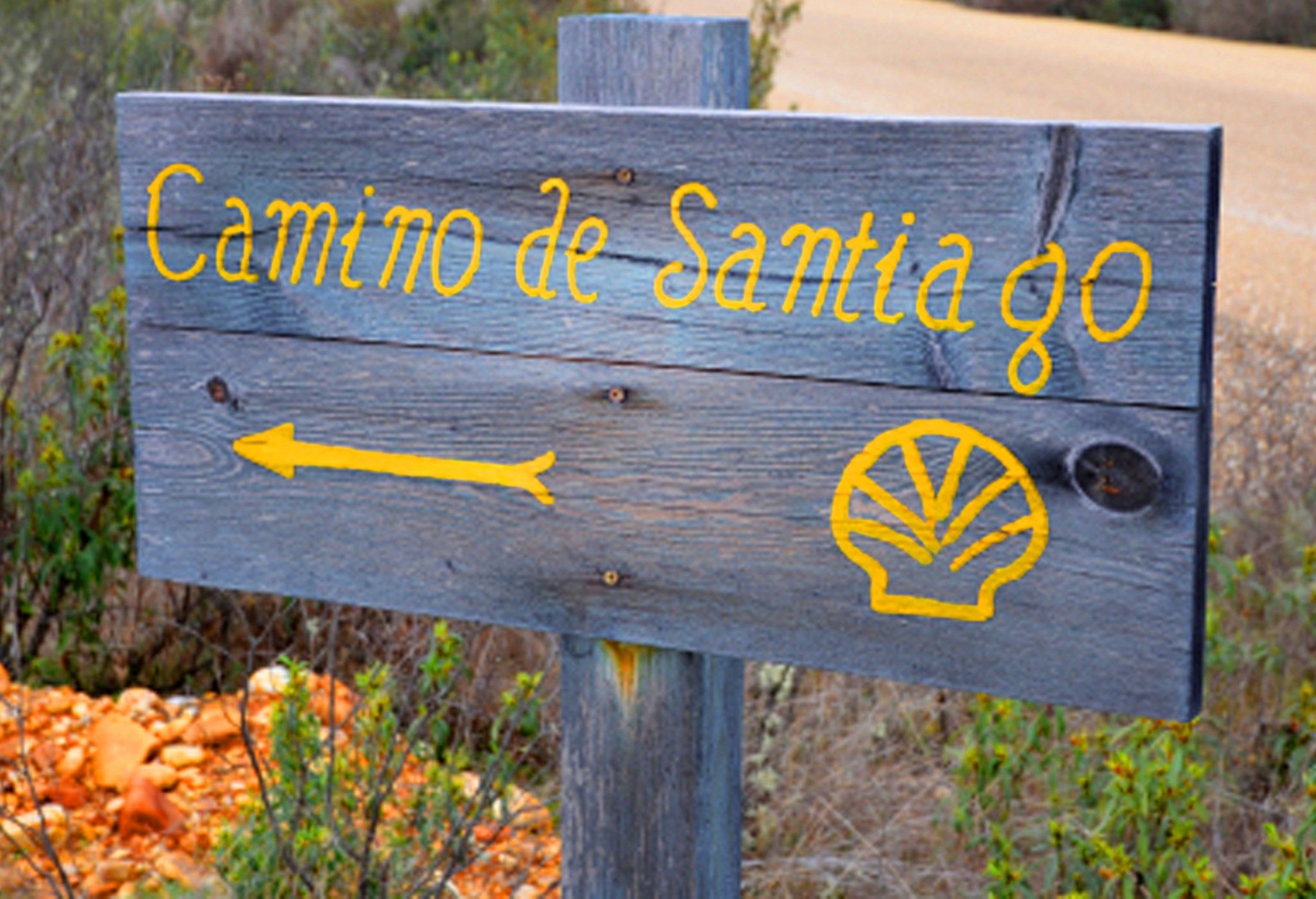Ranking de las mejores guías del Camino de Santiago Ranking de las mejores guías del Camino de Santiago