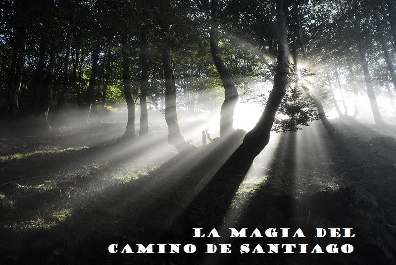 Resultado de imaxes para camino de santiago