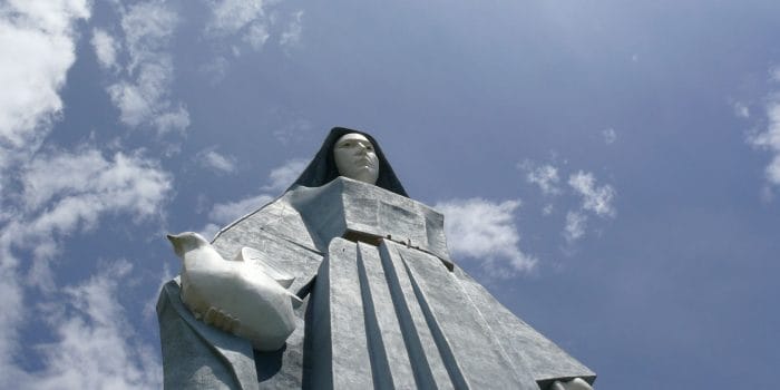 El Pájaro y la Virgen