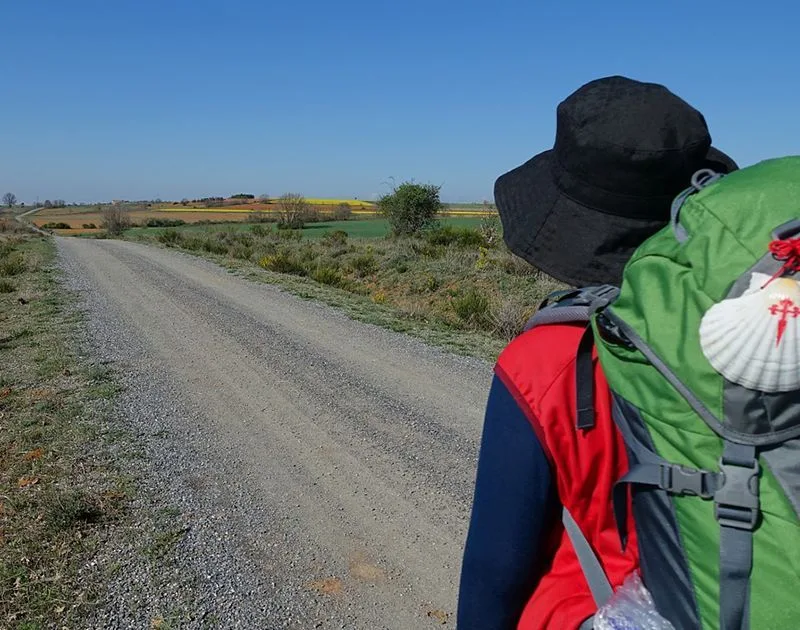 Argumentos que te animarán a hacer el Camino de Santiago